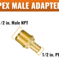 Twenty Five Pack Half Inch NPT To Half Inch PEX Male Adapters No Lead Brass NSF ANSI 61 Certified Drinking