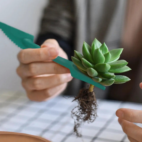 8 In 1 Hand Held Seed Spreader And Planter Tool With Fertilizer Dispenser Seed Hole Maker Seed Spacer And Adjustable Depth Control, being used to handle a small succulent.