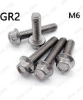 Premium Titanium Gr2 Hex Flange Head Bolts And Screws M4 M6 M8 M8 1.25 X 65mm Set Of 10 showing M6 bolts with flange design.
