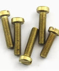 Top Shelf Brass Slotted Cheese Head Machine Screws Assortment Kit showing five brass screws with slotted heads for DIY and electronics.