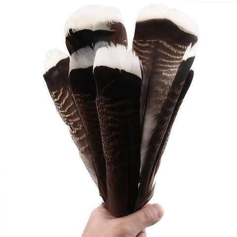 Hand holding Natural Turkey Tail Feathers 12 Pack Long 8 To 10 Inches Bulk Feathers for Crafts DIY Wedding Decor Fly Tying Costumes