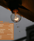 G40 Replacement Bulbs 120V 5W Clear Globe Incandescent Lights Dimmable For E12 C7 Candelabra Base 25 Pack in outdoor use