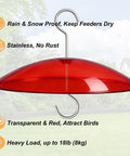 8 Inch Weather Guard Dome For Bird Feeder Red Protective Cover Shields Rain Snow Sun 20cm Diameter with Stainless Hook