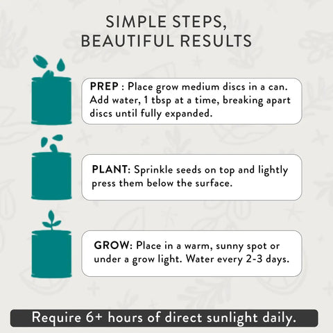 Steps for using the Colorful Grow Kit Set For Beginners Pack Of Four Seed Starter Kit With Organic Strawberry Tomato Sunflower And Cactus Seeds