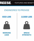 Weight icons showing 833 lbs working load and 2,500 lbs break strength for Retractable Transom Tie Down For Boats, 2 Inch By 43 Inch.