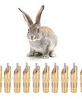 Auto Flow Rabbit Water Feeder Kit With Hose Hookup For Small Critters And Poultry Coops features ten brass nozzles with a rabbit.