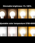Smart RGBWW LED Bulb With WiFi Control And Voice Assist, Alexa And Google Assistant Ready, dimmable brightness and color temperature