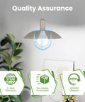6 Pack Bright Ceiling Fan Light Bulbs 60W Equivalent LED E12 A15 Candelabra Base Non Dimmable Daylight 5000K 120V Long Lasting 30000 Plus Hours For Home Kitchen Dining, quality assurance badge with 3-year warranty and 30000-hour lifespan details in room with plants.