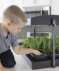 Child with All In One Indoor Garden Kit With Dual T5HO Grow Lights And NanoTech Reflectors Auto Watering Mat on kitchen counter.