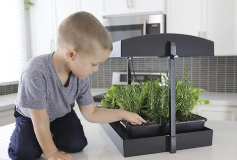 Child with All In One Indoor Garden Kit With Dual T5HO Grow Lights And NanoTech Reflectors Auto Watering Mat on kitchen counter.