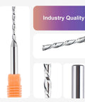 SpeTool extra-long down-cut router bit, 1/8 dia, 1/4 shank, 3 OAL, solid carbide for wood front view