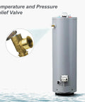 Front view of a brass temperature and pressure relief valve with 3/4 in NPT, shown with a close-up inset of the valve.
