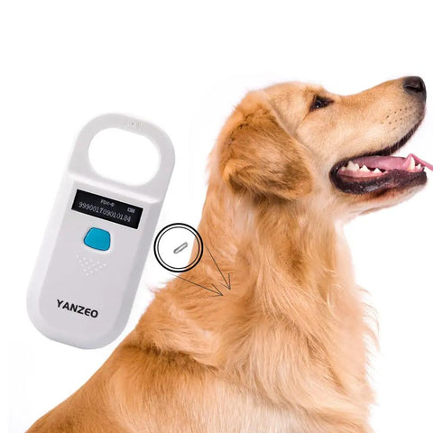 Golden retriever next to AR180 Pet Microchip Reader for Dogs and Cats, Reads 15-Digit ISO 11784/11785 FDX-B Chips.
