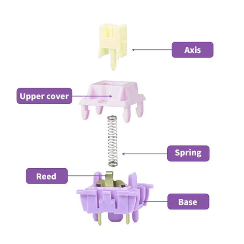 Exploded view of Wisteria MX-style switch parts: axis, upper cover, spring, reed, base. Ultra Smooth High Sensitivity Trans Momentary Mechanical Shaft For Mechanical Keyboards With Lubricated Switches 5Pin MX Style Axis Dustproof Linear Switches In Pink Purple 110Pcs For Quiet Fast And Responsive Keypresses.