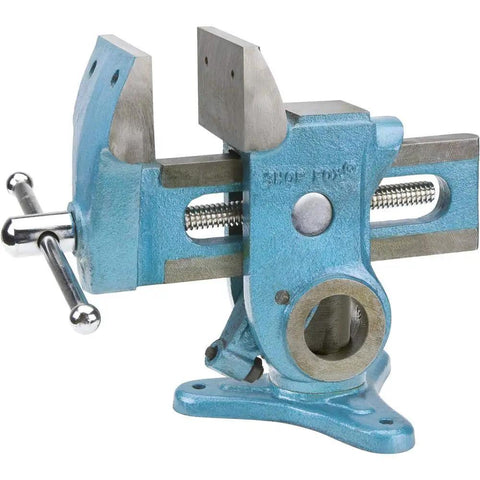 Parrot Vise D3125 Heavy Duty Tabletop Vise For Woodworking Precise Locking With Quick Release Benchtop Mount Blue Metallic Finish Built For DIY Projects Crafting Sessions And Small Woodworking Tasks, blue metal benchtop vise with quick release handle