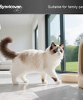 Heavy Duty Sticky Floor Roll Tape Picks Up Pet Hair And Grime Fast Perfect For Main Doors And Workshops Gonna Keep Your Place Spotless Totally Zero Fuss Required Daily with cat in a bright room.