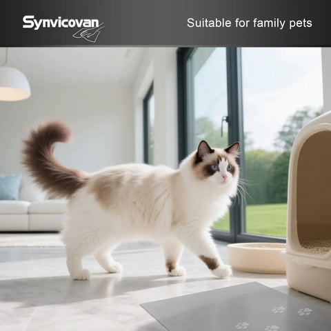 Heavy Duty Sticky Floor Roll Tape Picks Up Pet Hair And Grime Fast Perfect For Main Doors And Workshops Gonna Keep Your Place Spotless Totally Zero Fuss Required Daily with cat in a bright room.