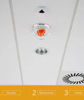 Heavy Duty Screw Mount Fire Sprinkler Guard Cage Shield With Impact Resistant Kickproof Cover For Upright Pendant And Horizontal Ceiling Heads installed in a ceiling.