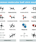 Molecular Model Kit For Chemistry Learning, 125 Pieces Ball And Stick And Room Filling Models, various organic molecules displayed