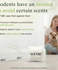 Kick Out Those Sneaky Scurry Rodents With These Mighty Fine Natural Mouse Repellent Pouches harnessing rich peppermint cinnamon cedarwood with pouch on floor.