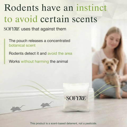 Kick Out Those Sneaky Scurry Rodents With These Mighty Fine Natural Mouse Repellent Pouches harnessing rich peppermint cinnamon cedarwood with pouch on floor.