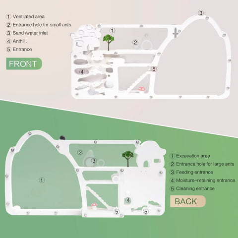 Diagram of Large Viewing Ant Farm For Live Ants And Sand Habitat with labeled sections for observation and care on both sides.