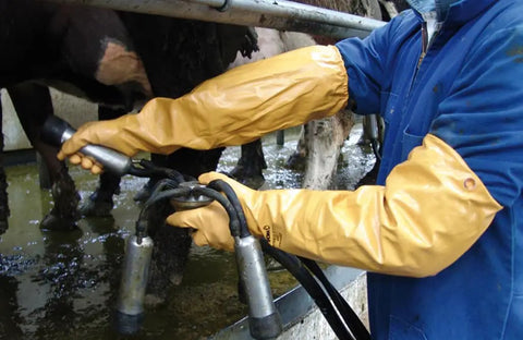 Person using Atlas 772 Double Nitrile Coated Full Arm Chemical Resistant Safety Glove handling milking equipment