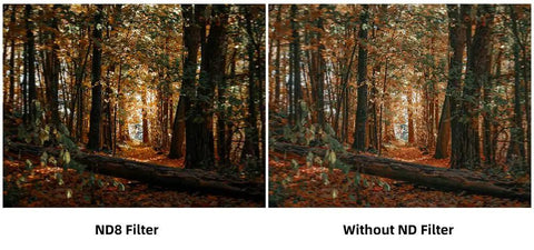 Comparison of woodland scene with ND8 filter vs without, showing light and color changes.