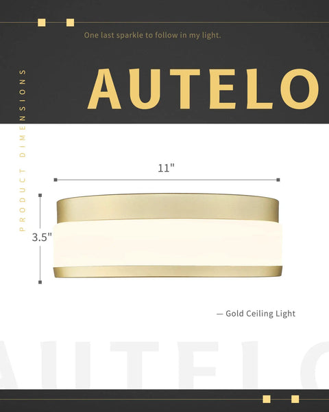Gold Ceiling Light With Frosted Glass Flush Mount LED Hallway Fixture, 11-inch diameter, modern gold metal finish, dimensions shown