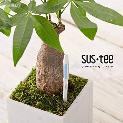 Sustee Aquameter 4 Pack Leave In Plant Soil Moisture Sensor For Pots White Medium Size Lets You Track Water Needs In The Soil For 3.5 To 6 Inch Pots Without Guessing, white sensor in potted plant