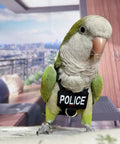Green parrot wearing a police vest standing indoors.