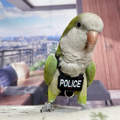 Green parrot wearing a police vest standing indoors.