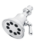 Retro Style Shower Head With Anystream 360 Degree Spray Technology, 1.75 GPM Flow, Polished Chrome Finish, shower nozzle detail