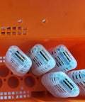 Plastic Queen Bee Cages 20 Pack Transporting Catcher Kit For Beekeeping in orange container