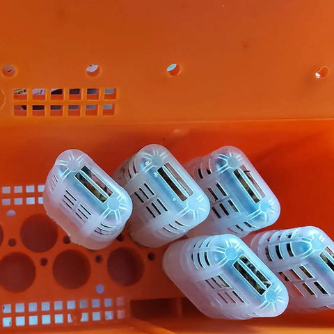Plastic Queen Bee Cages 20 Pack Transporting Catcher Kit For Beekeeping in orange container