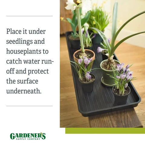 Large Plant Tray Workhorse For Indoor And Outdoor Gardening with potted seedlings and flowers, black 46.5x15.5x2 inch tray.