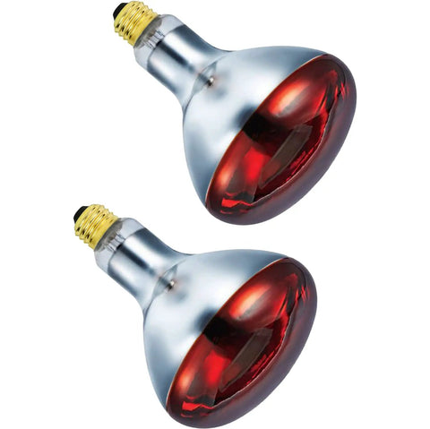 Two Red Infrared Heat Lamp 250W R40, 120V Flood Light bulbs for pets and poultry, E26 medium base, outdoor brooder use