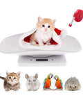 Newborn Pet Weight Scale With 12 By 8 Inch Tray And Tape Measure, Portable Small Animal Scale with kitten on tray, white electronic