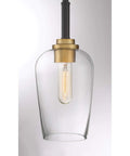 Sagamore Mini Pendant Ceiling Light in Earth Black with Brass Accents, industrial modern design, glass shade, 13x5 inches, 100W compatible.