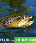 Trout fish in water with lure in its mouth, highlighting use of TNT Kit 82-Piece Trout Lure Set With 70 Soft Plastic Bodies And 12 Jig Heads.