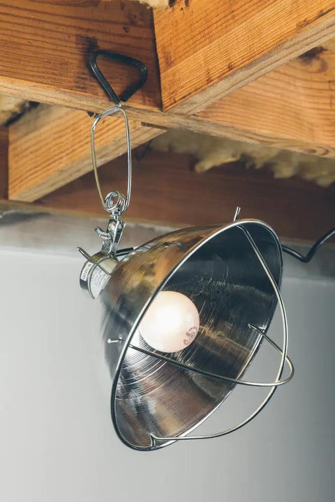 Clamp Lamp With 10 Inch Reflector And Bulb Guard, 300 Watt Bulb, 6 Foot Cord, mounted under wooden beam for workbench lighting.