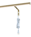 14 Inch Adjustable LED Picture Light In Antique Brass Dope Wall Art Lighting, 4W, 206 Lumens, 3000K Warm Glow with 8ft cord