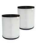 2 Pack Replacement Filter For HoMedics TotalClean Tower AP-T20 AP-T20WT, AP-T20FL Compatible 3-Stage Filtration With True HEPA H13