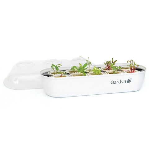 Indoor Seed Germination And Hydroponic Growing Kit For Easy No Fuss Home Gardens That Works With Tower Gardens And Vertical Planters