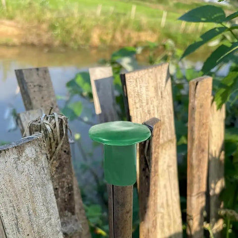 Premium Garden Cane Caps For Bamboo Sticks That Totally Block Sharp Ends And Keep Hands Safe Plus Eyes Protected From Accidents When Working In The Yard, green PVC cap on bamboo stick