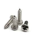 Micro 304 Stainless Steel Cross Drive Pan Head Self Tapping Screws Assorted M1 To M6 Set on white background.