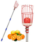 Adjustable 8 Ft Fruit Picker Pole With Large Metal Basket And Soft Pad, Lightweight Gardening Tool For Picking Peaches Mangoes Apples Oranges From Trees, Long Handle With Carrying Bag, shown with fruit