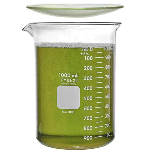 1000ml Beaker With 125mm Watch Glass Low Form Griffin Glassware Set 50ml To 1000ml Graduations Double Scale Marks Durable Borosilicate