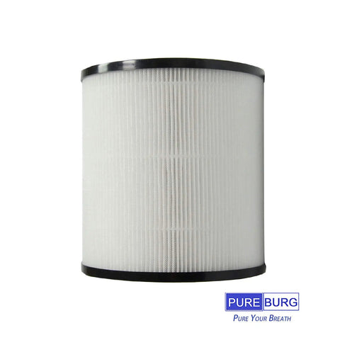 2 Pack 2 In 1 True HEPA Air Filter Replacement For C8 C10 And KJ120G C10 Purifiers With Activated Carbon 3 Stage Filtration