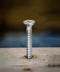 Size 14 Wood Screws Two And Three Quarter Inch 100 Count Stainless Steel 304 Self Tapping Flat Head Phillips shown in wood
